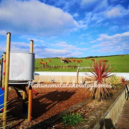 Hakuna Matata Holiday Home Newquay  Bagian luar foto